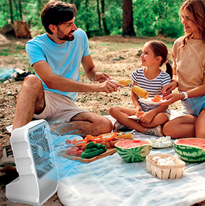 Arctic Air® Outdoor cooling off a family at a picnic